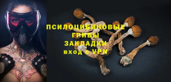 гашик Волоколамск