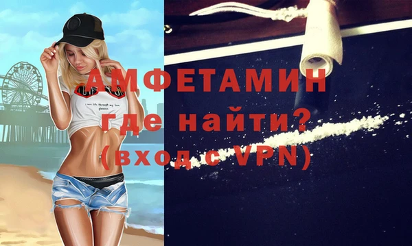 мдпв Вяземский
